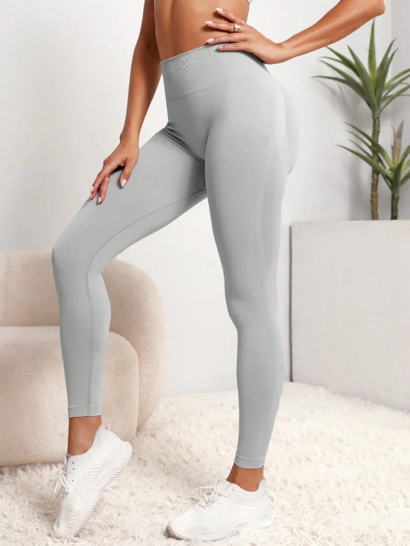 Seamless Contour Leggings