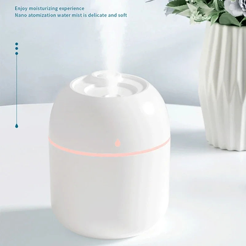 Portable 220ml Humidifier