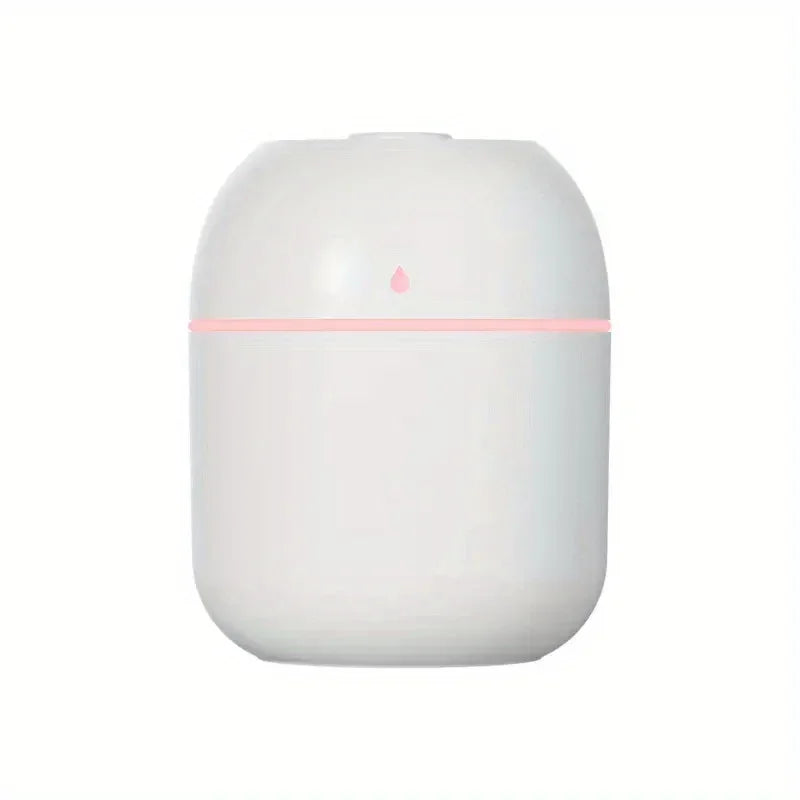 Portable 220ml Humidifier