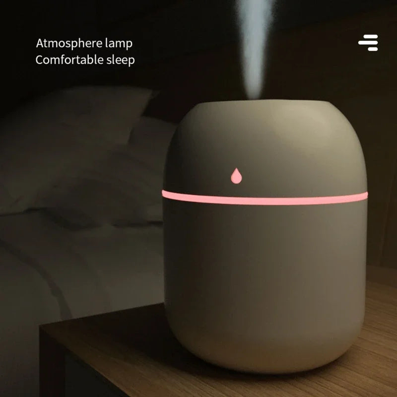 Portable 220ml Humidifier